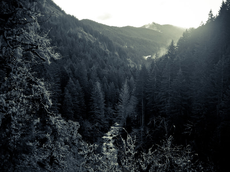 Eagle Benson Trail
