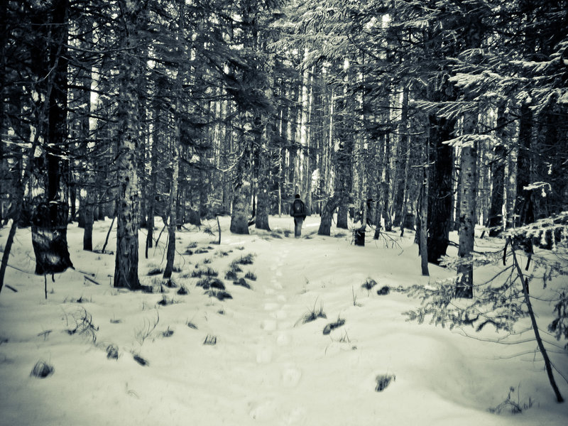 Benson Plateau