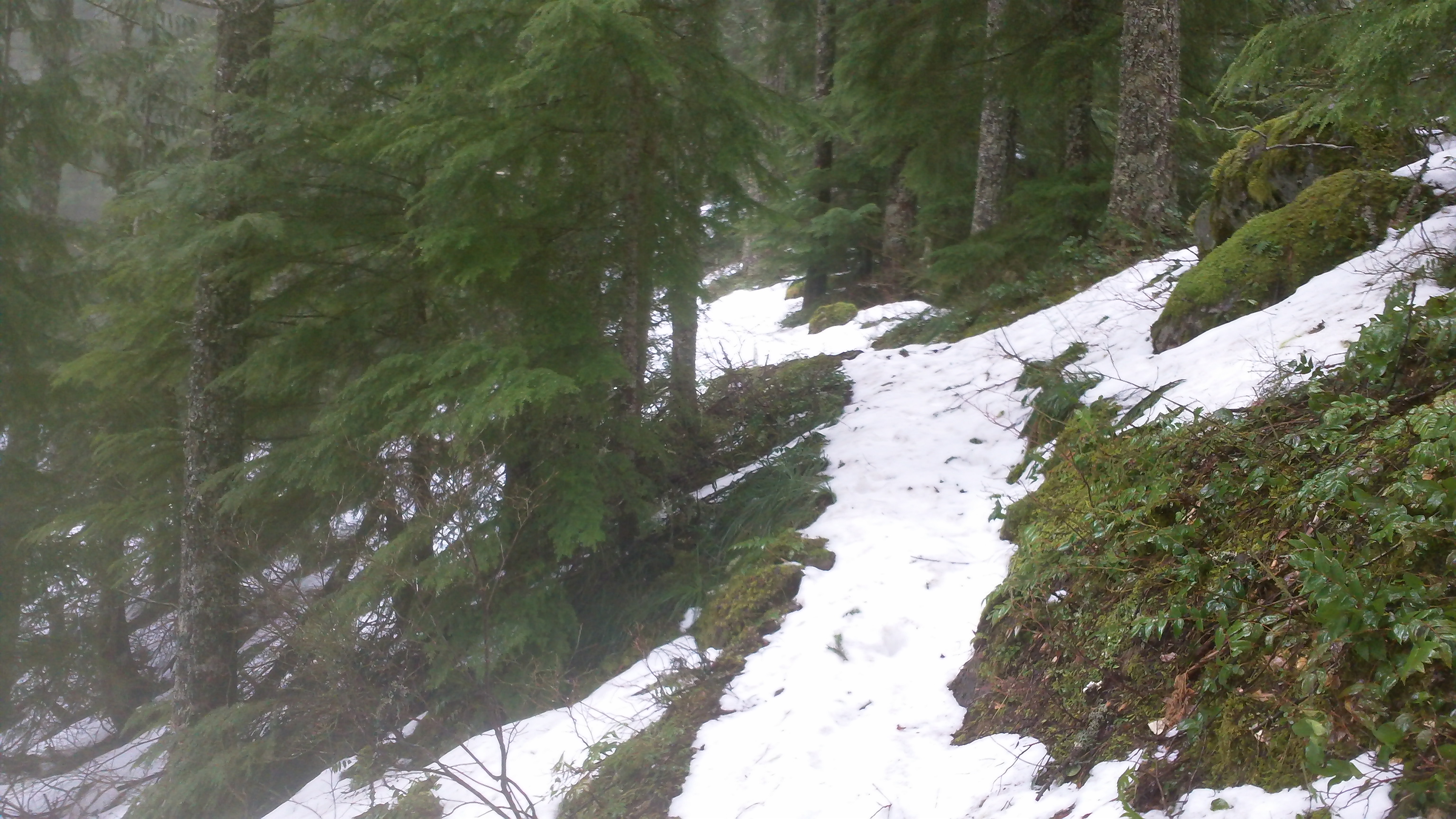 Snow starts here