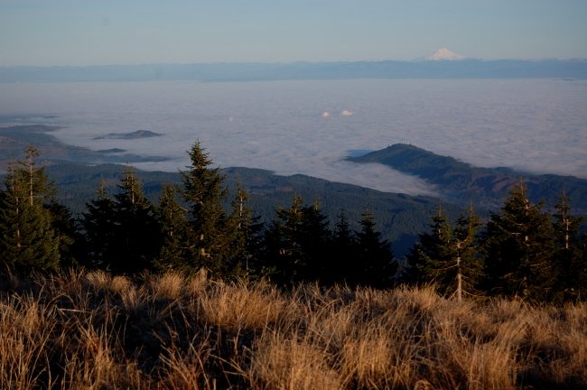 Sea of fog over Salem/Albany