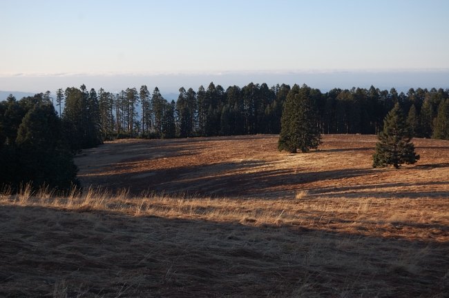 Meadows just below the summit. We just chose the shortest way from the upper trailhead since it was pre-sunset hour