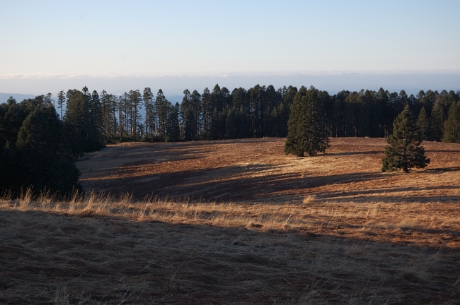 Meadows just below the summit. We just chose the shortest way from the upper trailhead since it was pre-sunset hour