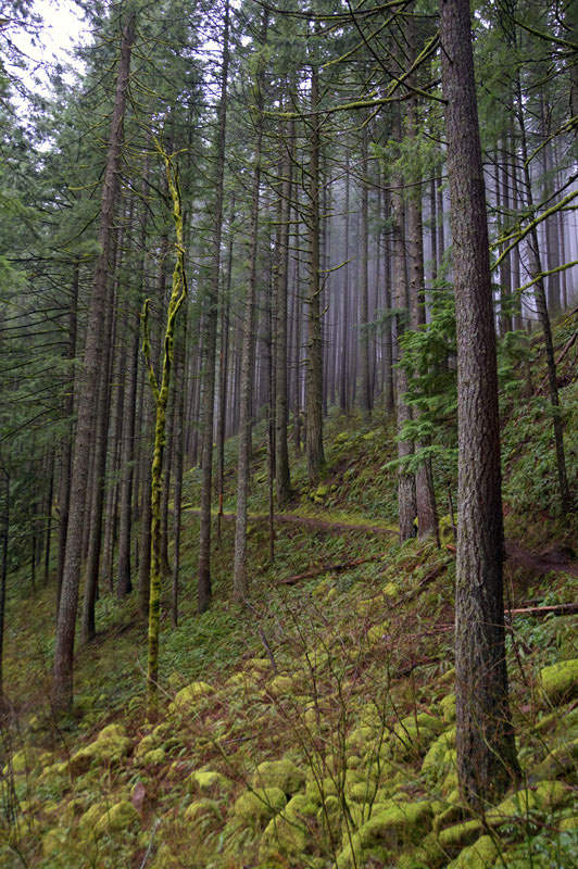 april in the Gorge