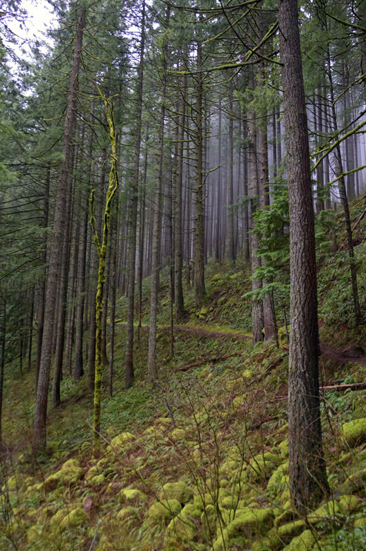 april in the Gorge
