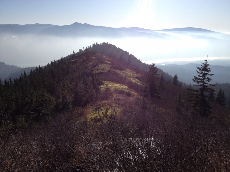 Ridgetop