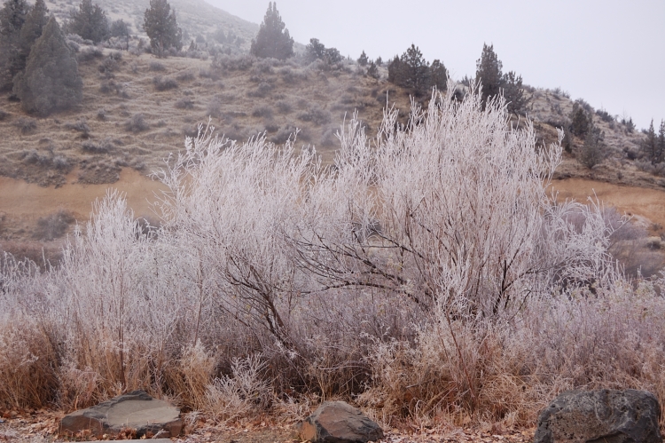 Freezing fog on Deschutes River