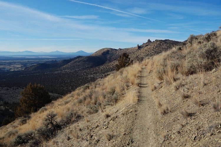 Views from Gray Butte Trail. No cows this time