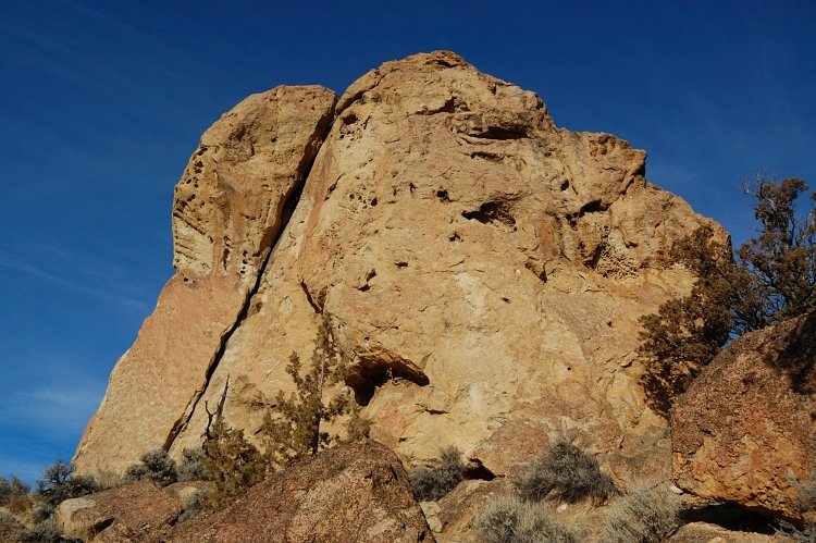 I don't see Tasmanian Devil, but rather an angry person face