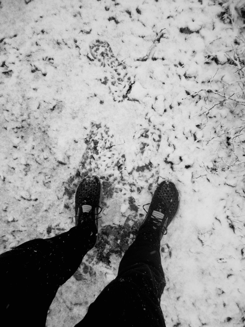 Accumulation starting to bear fruit.  Brooks Pure Grits fared well in the slick conditions.