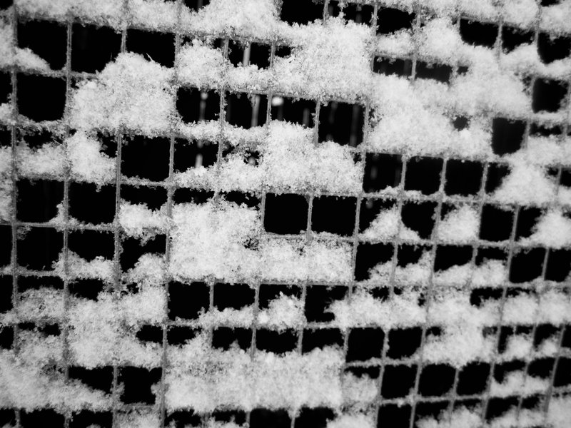Wire screening in the historic Van Patten Mountain Camp.