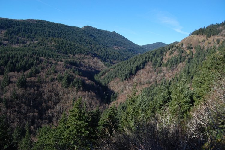 Hardy Creek drainage