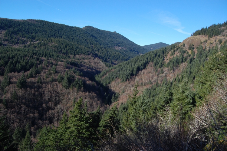 Hardy Creek drainage