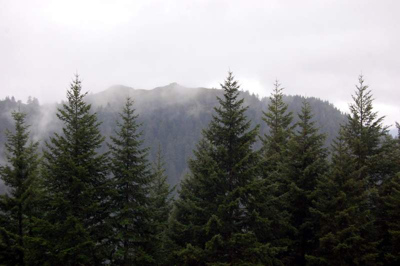 Munra Point was kind of visible.