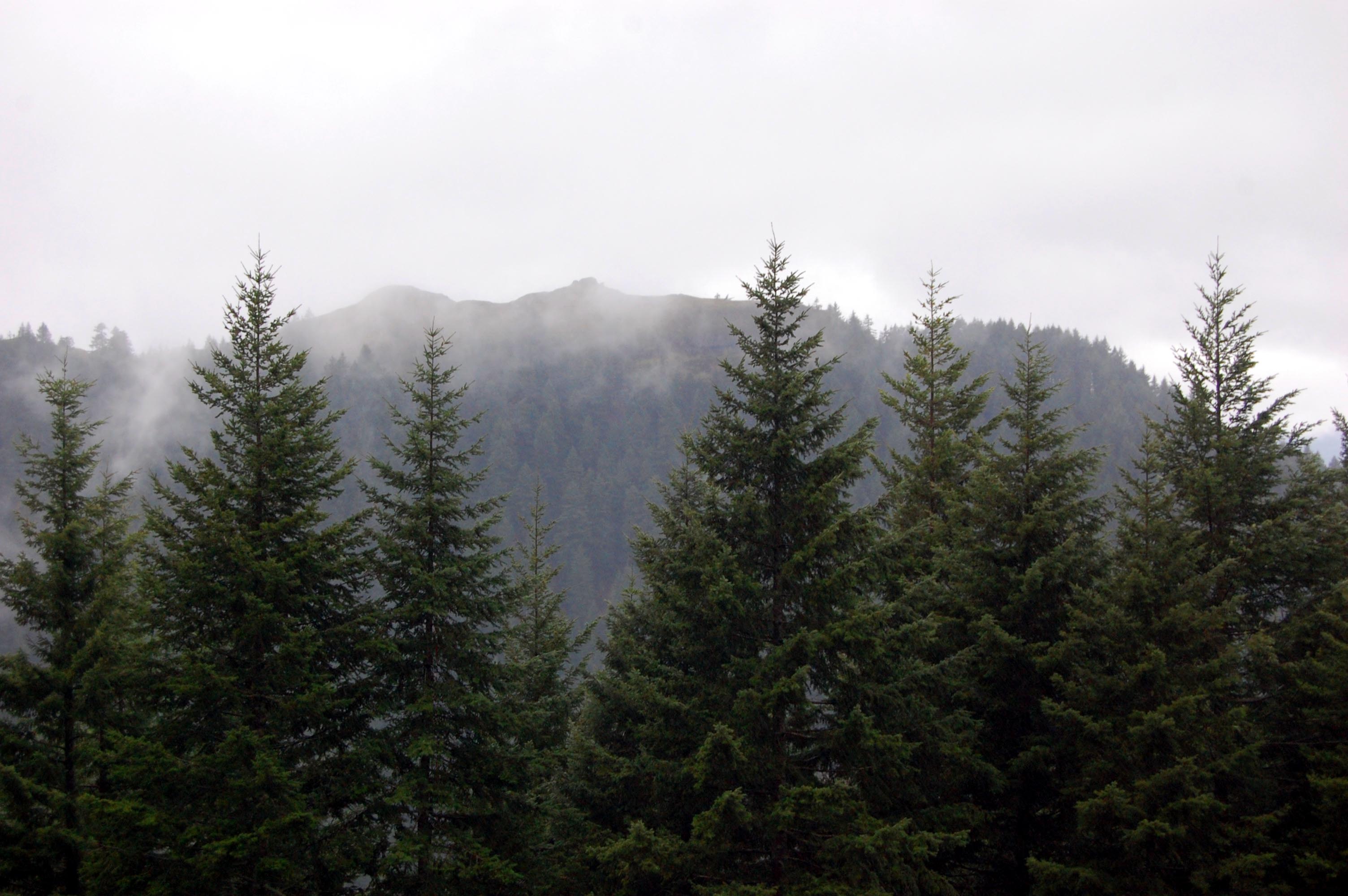 Munra Point was kind of visible.
