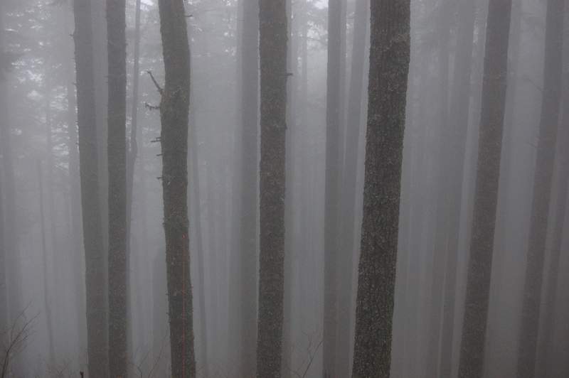Hiking in clouds.