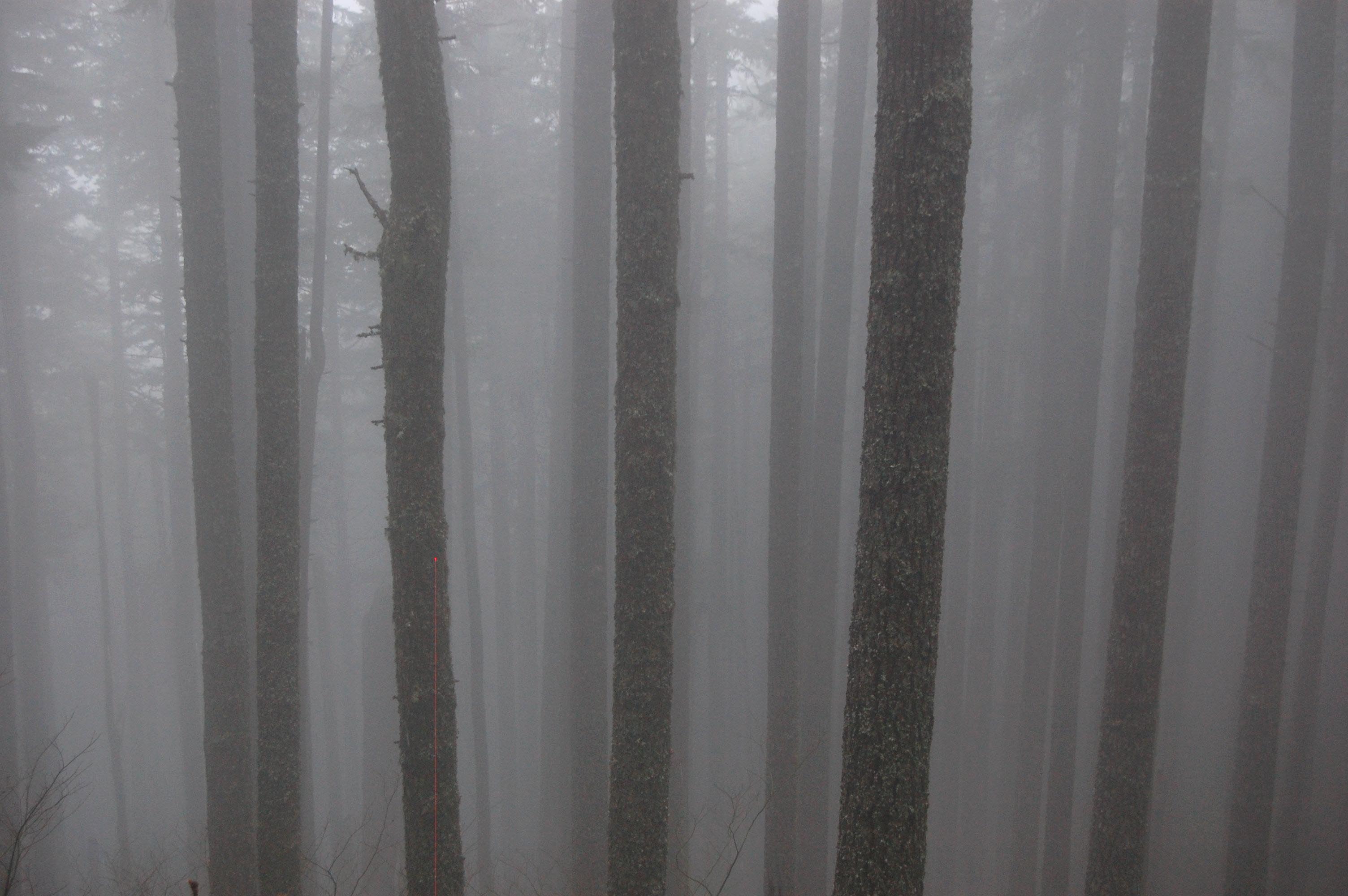 Hiking in clouds.