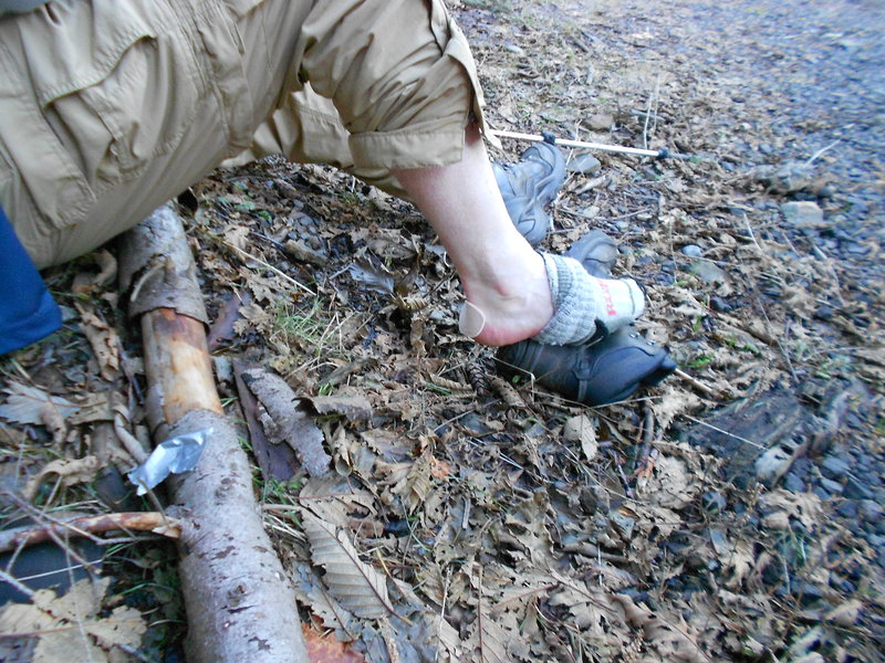 Brad's Blister