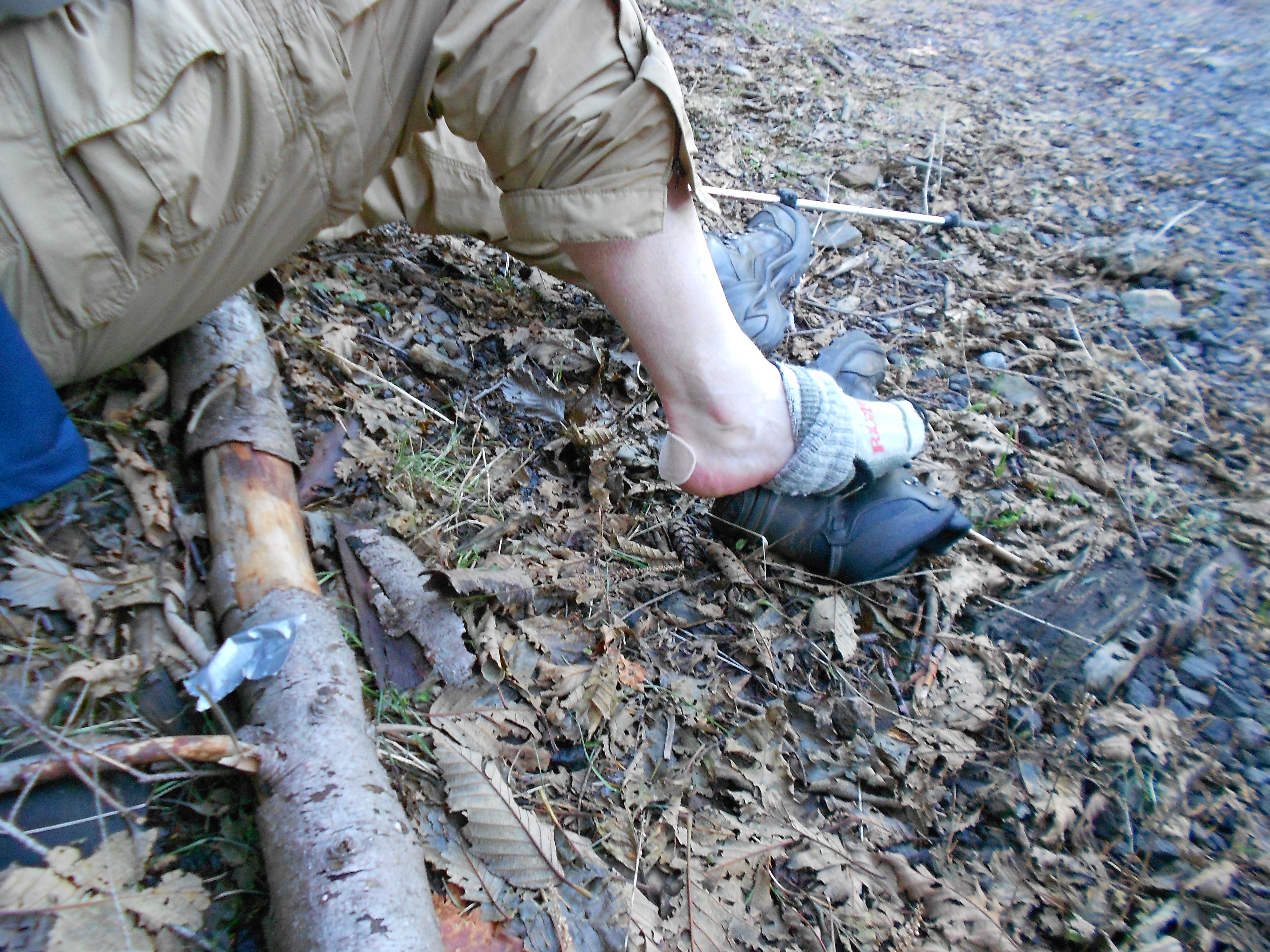 Brad's Blister