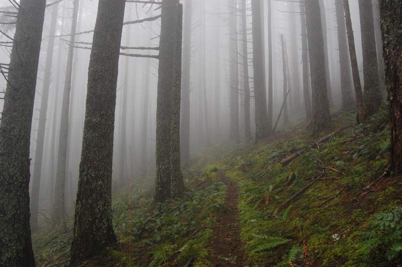 Hiking in clouds.