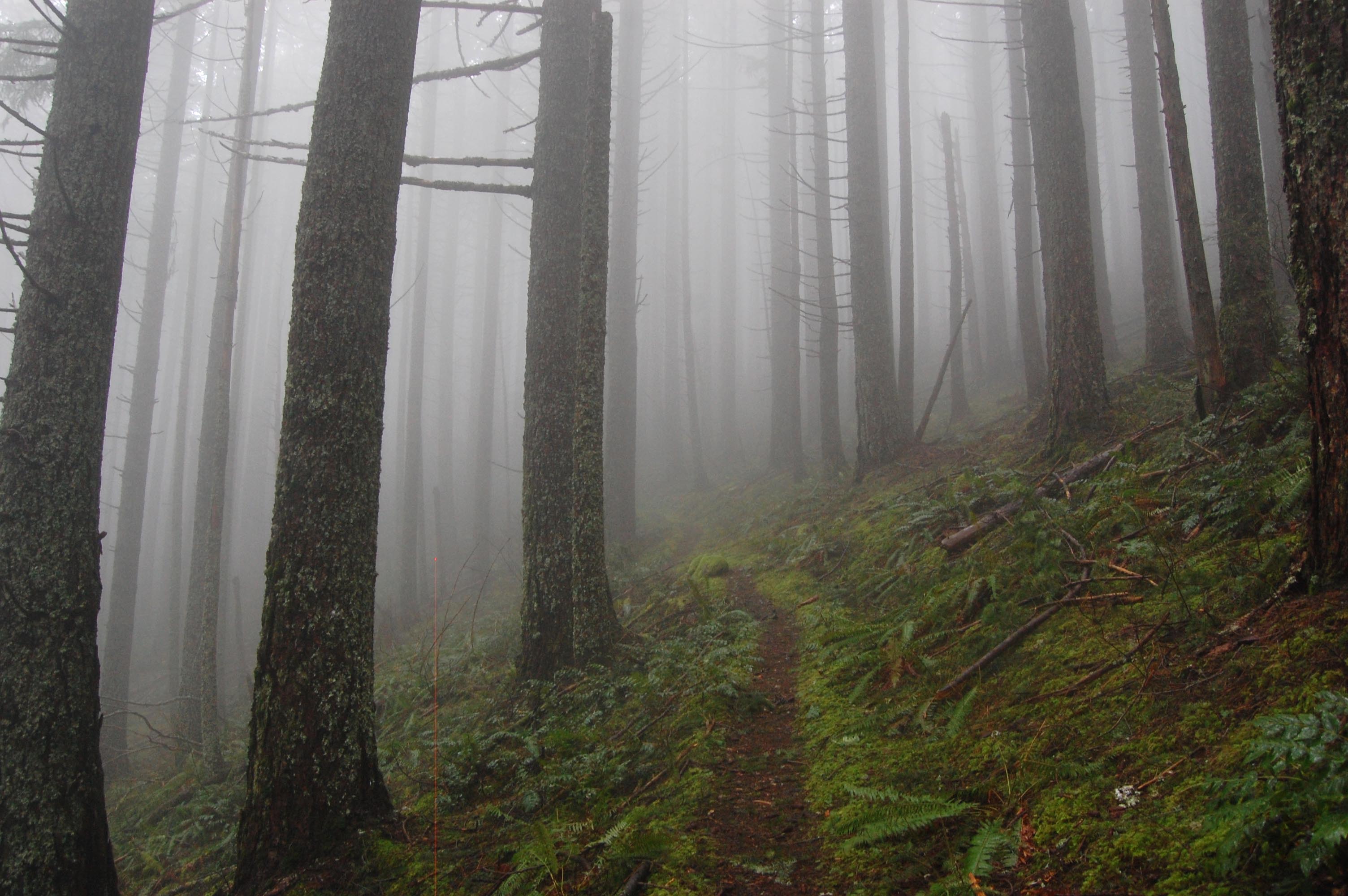 Hiking in clouds.