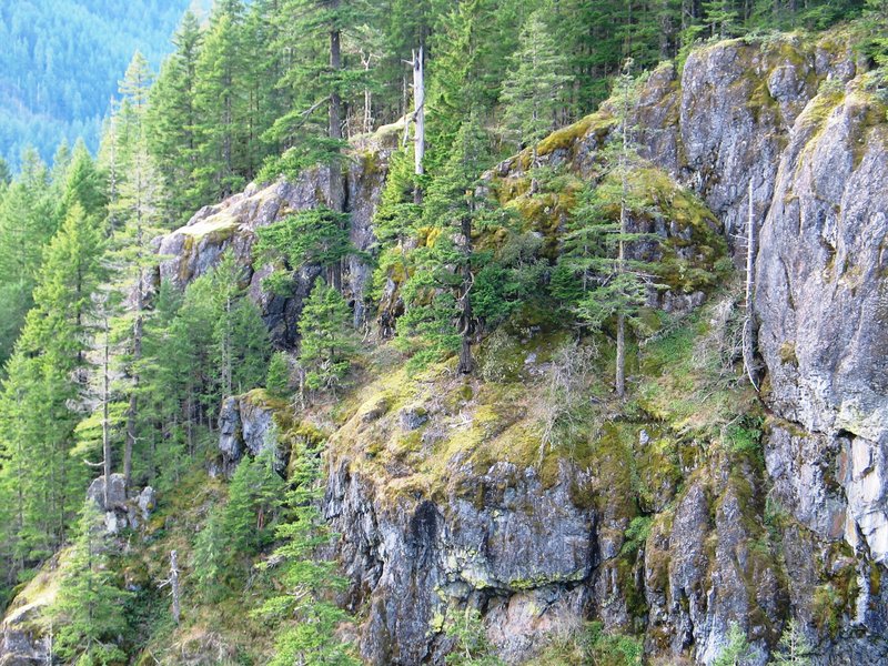 Western slope of Henline Creek Canyon