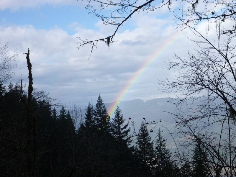 Reward Rainbow