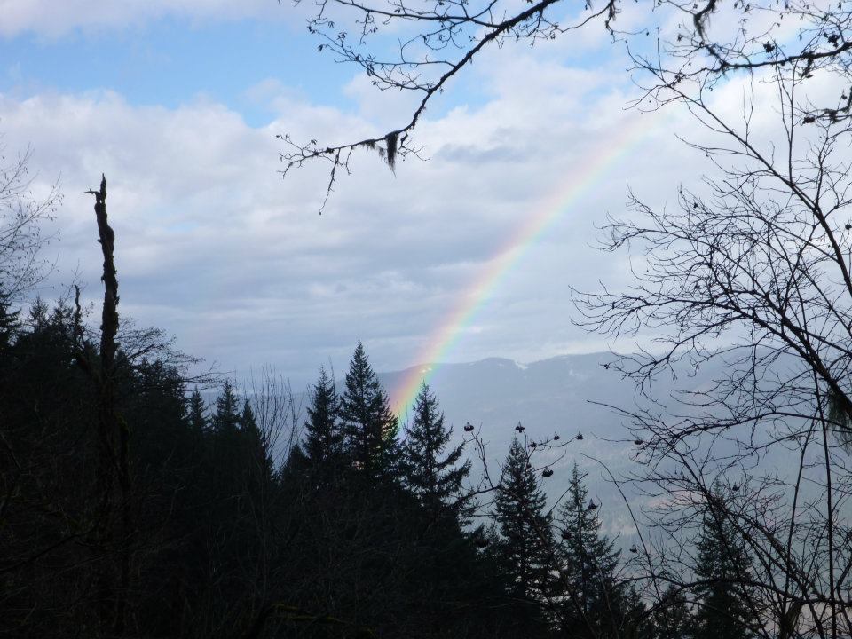 Reward Rainbow