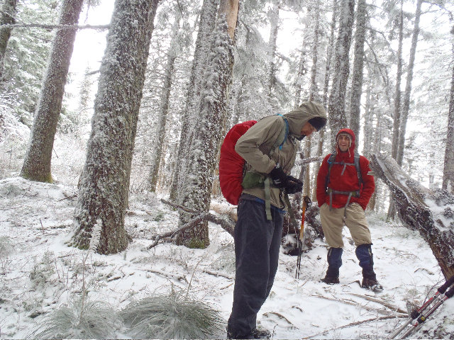 Top of Casey Creek Trail