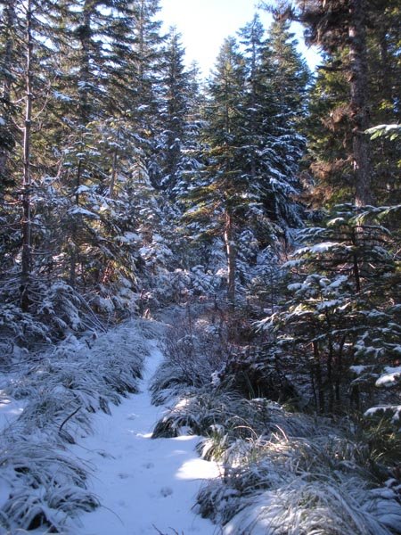 Trail around 4000 ft