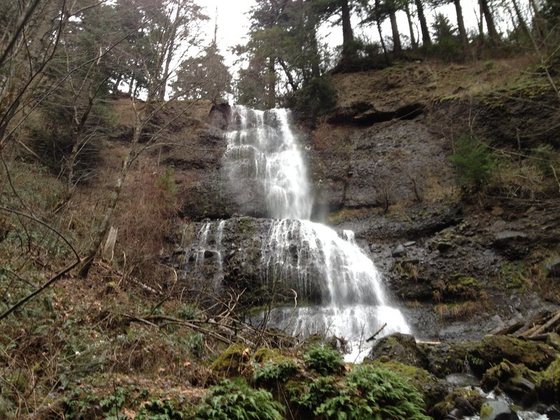 Cedar Falls