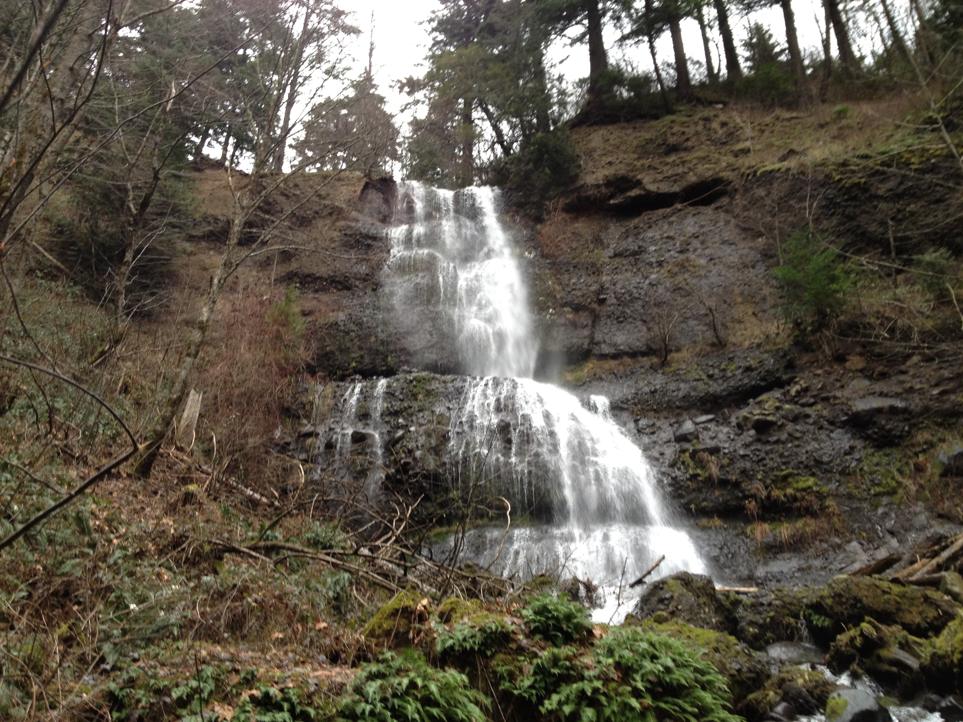 Cedar Falls