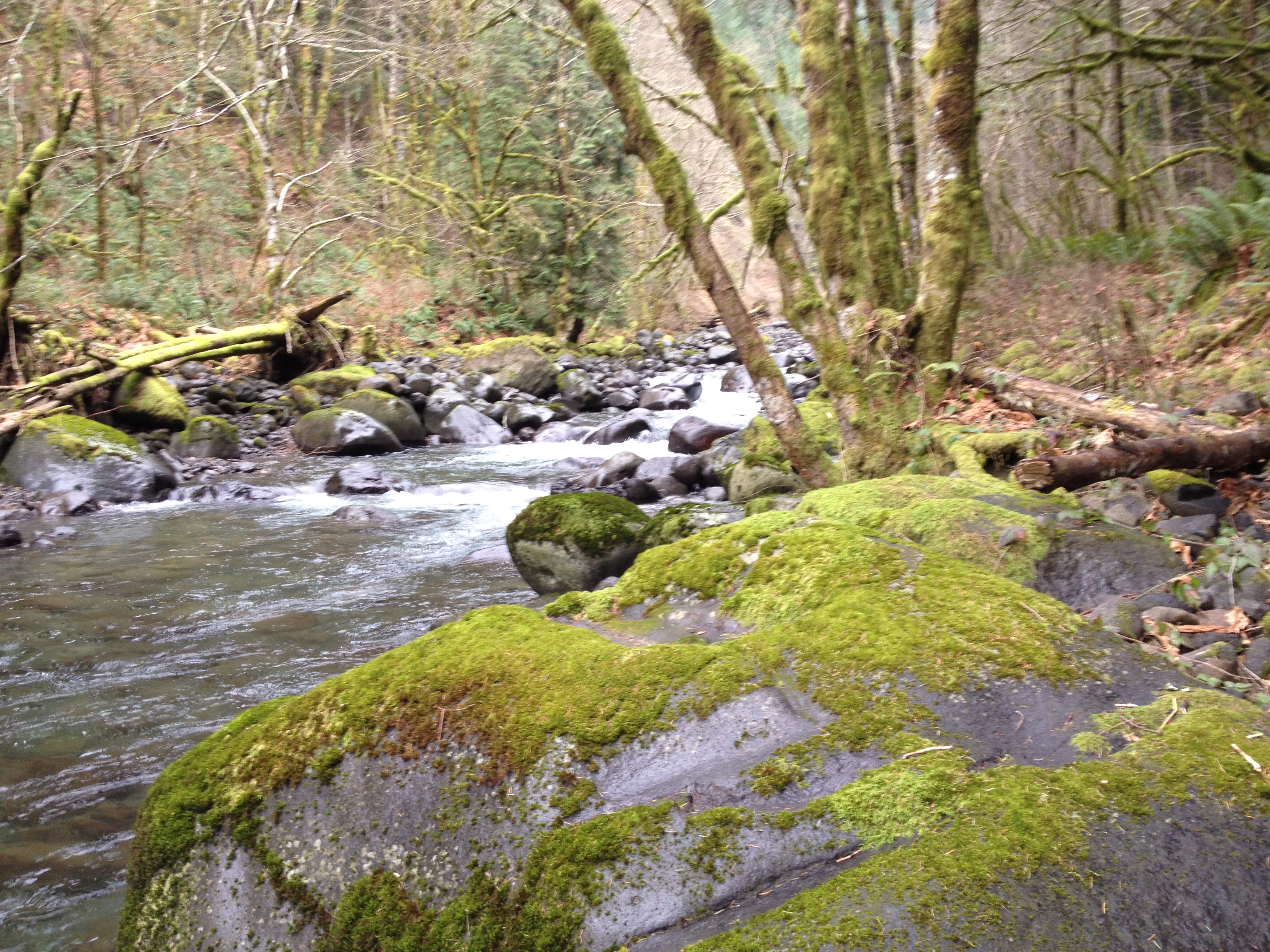 Hamilton Creek