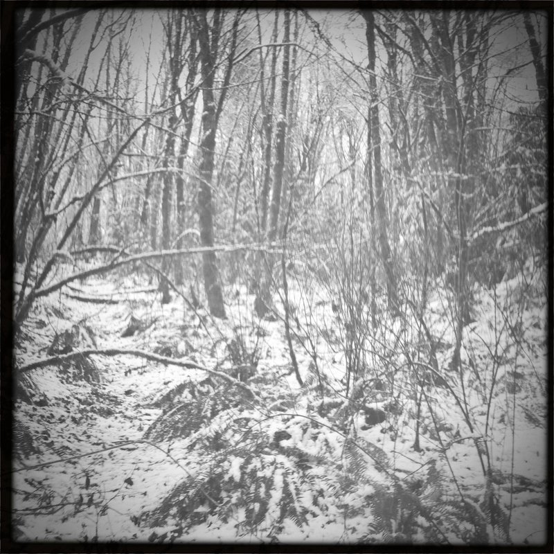 slushy wonderland