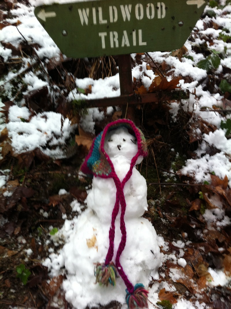 I loaned my wimpy snowman my hat for a photo