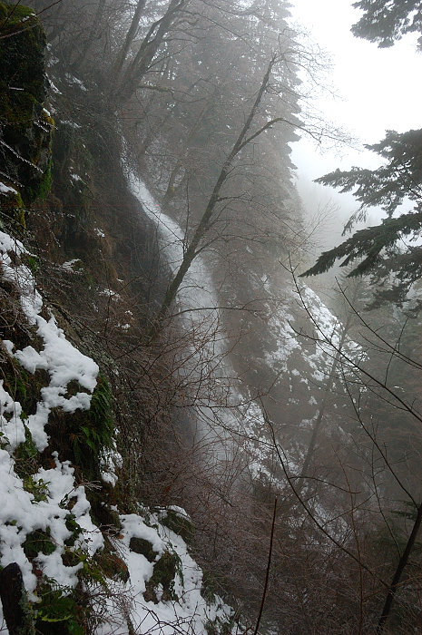 Saw a small seasonal falls on the way down