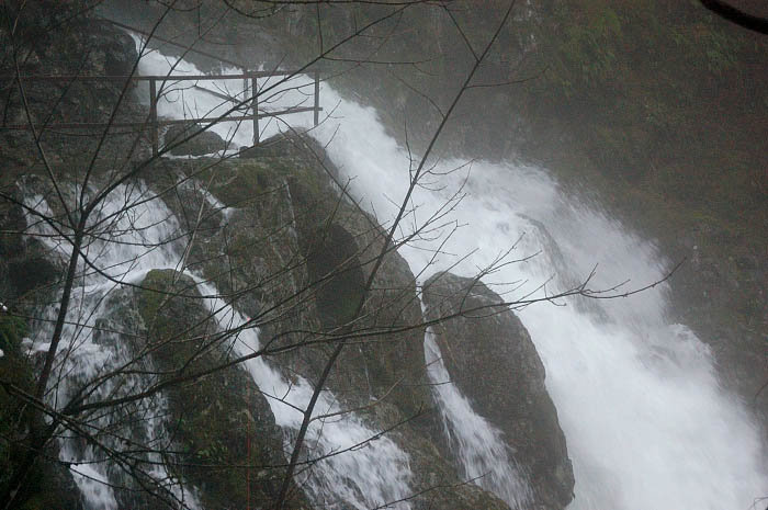 Rodney Falls flowing over Windy Pool viewpoint