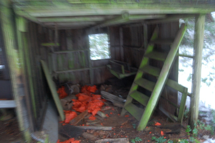 Little room was not so neat, but its roof is still good and only 1 wall is missing