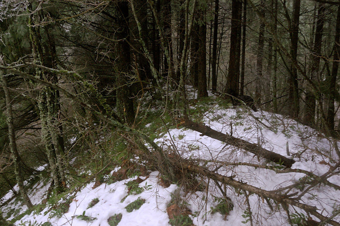 Followed this ridge for a short time