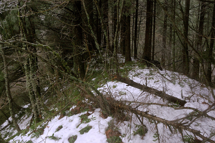 Followed this ridge for a short time