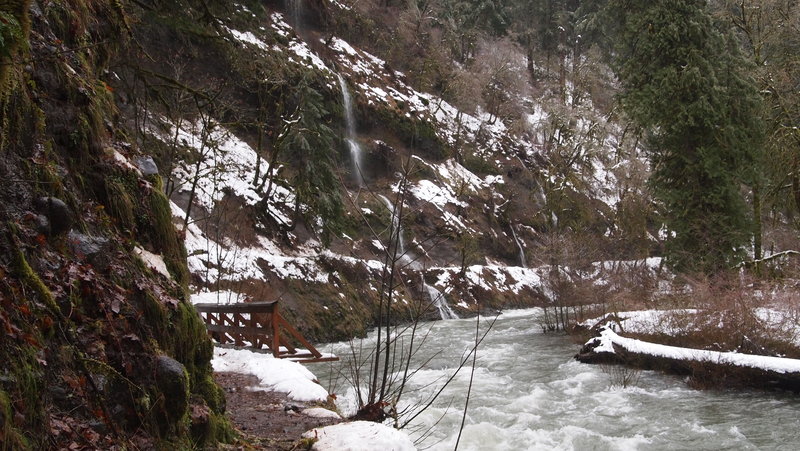 The beginning of Eagle Creek Trail
