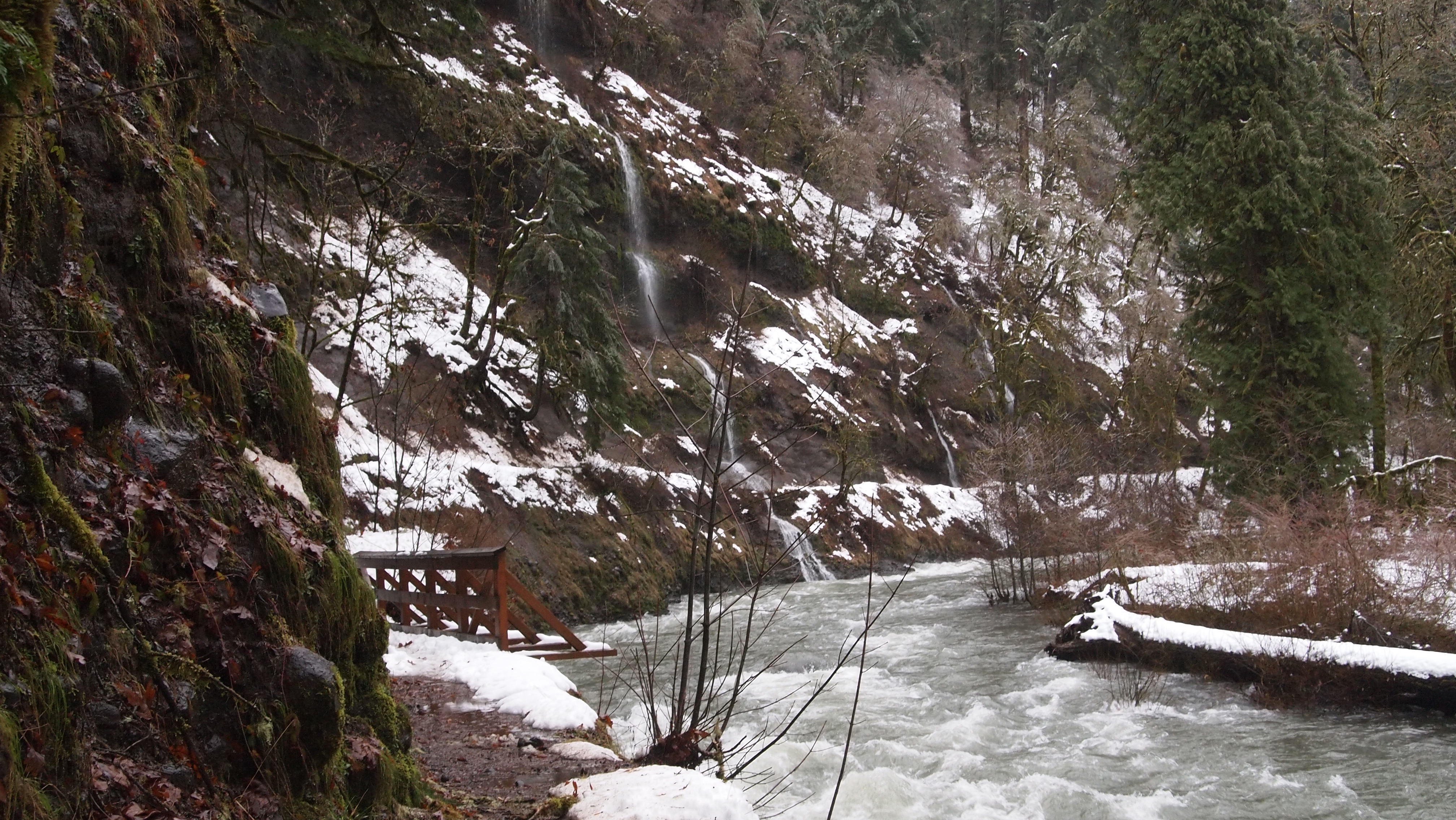The beginning of Eagle Creek Trail