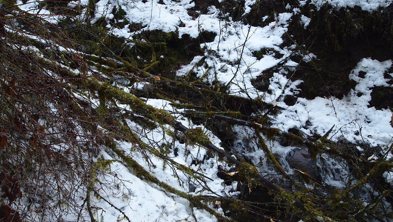 More blowdown