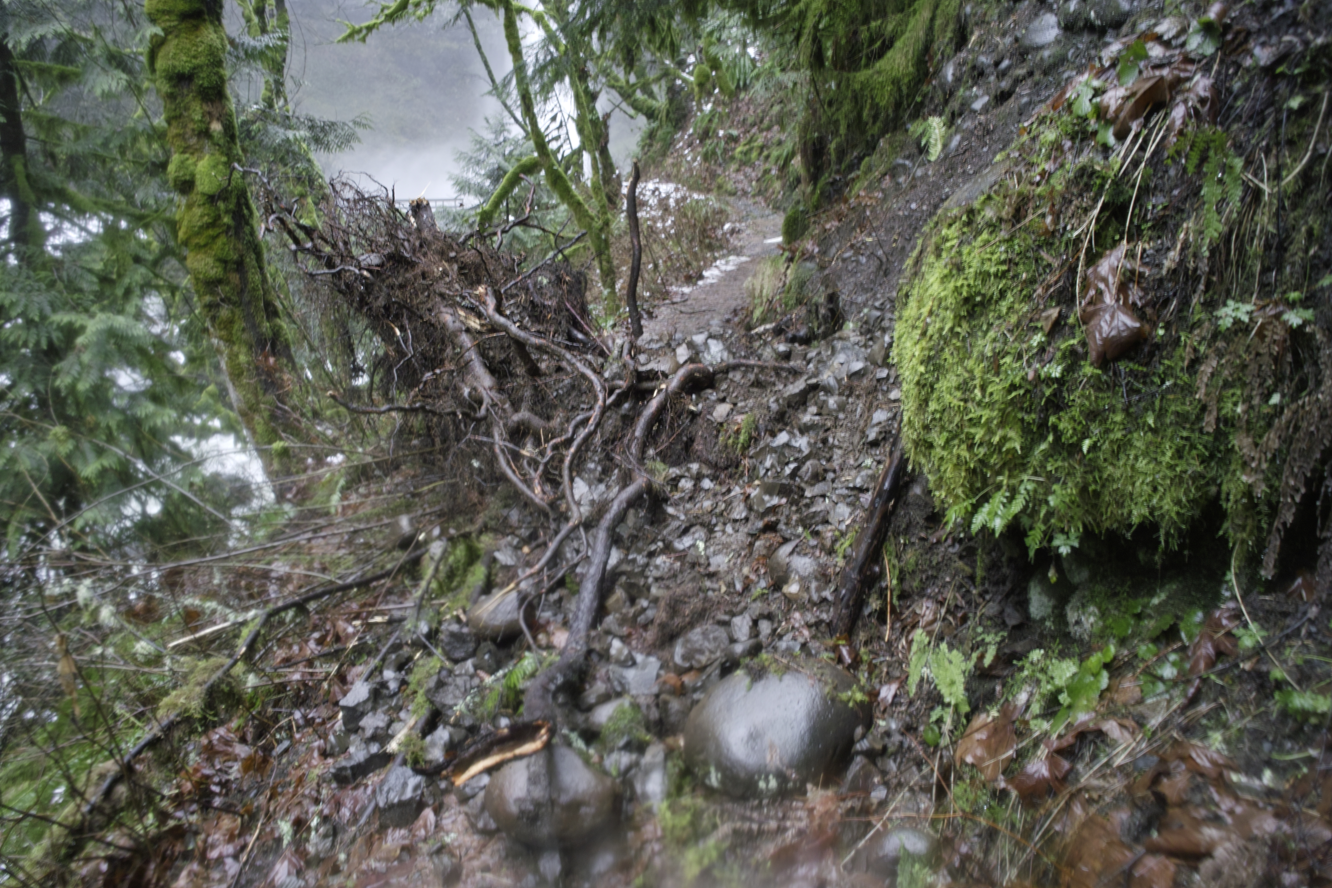 New erosion from the storm, right before Elowah.