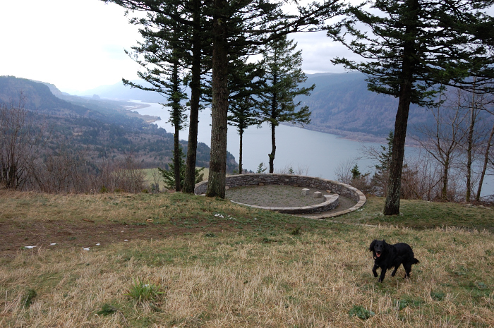 At Russel Overlook