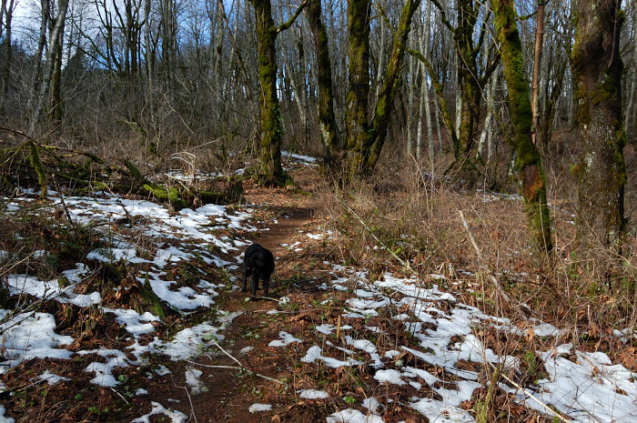 Almost all snow gone