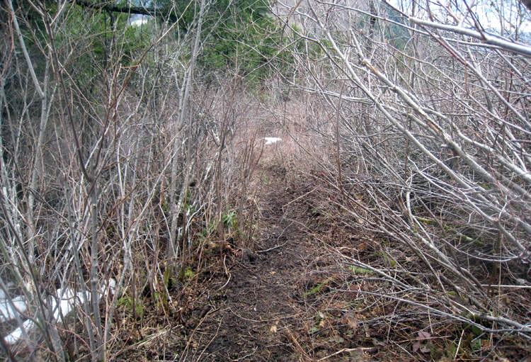 Parts of the trail were this bad.