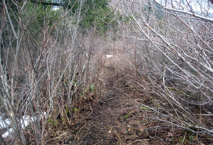 Parts of the trail were this bad.