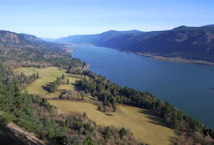 View east
