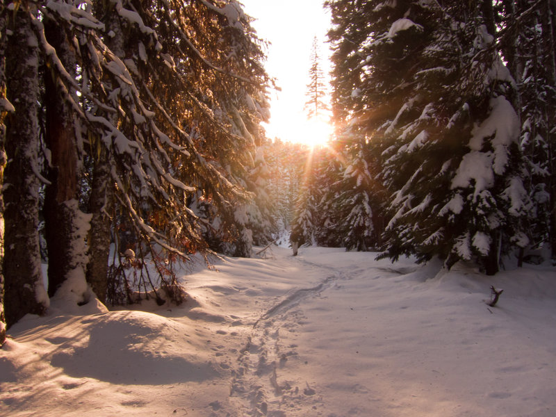Bennett Pass Road