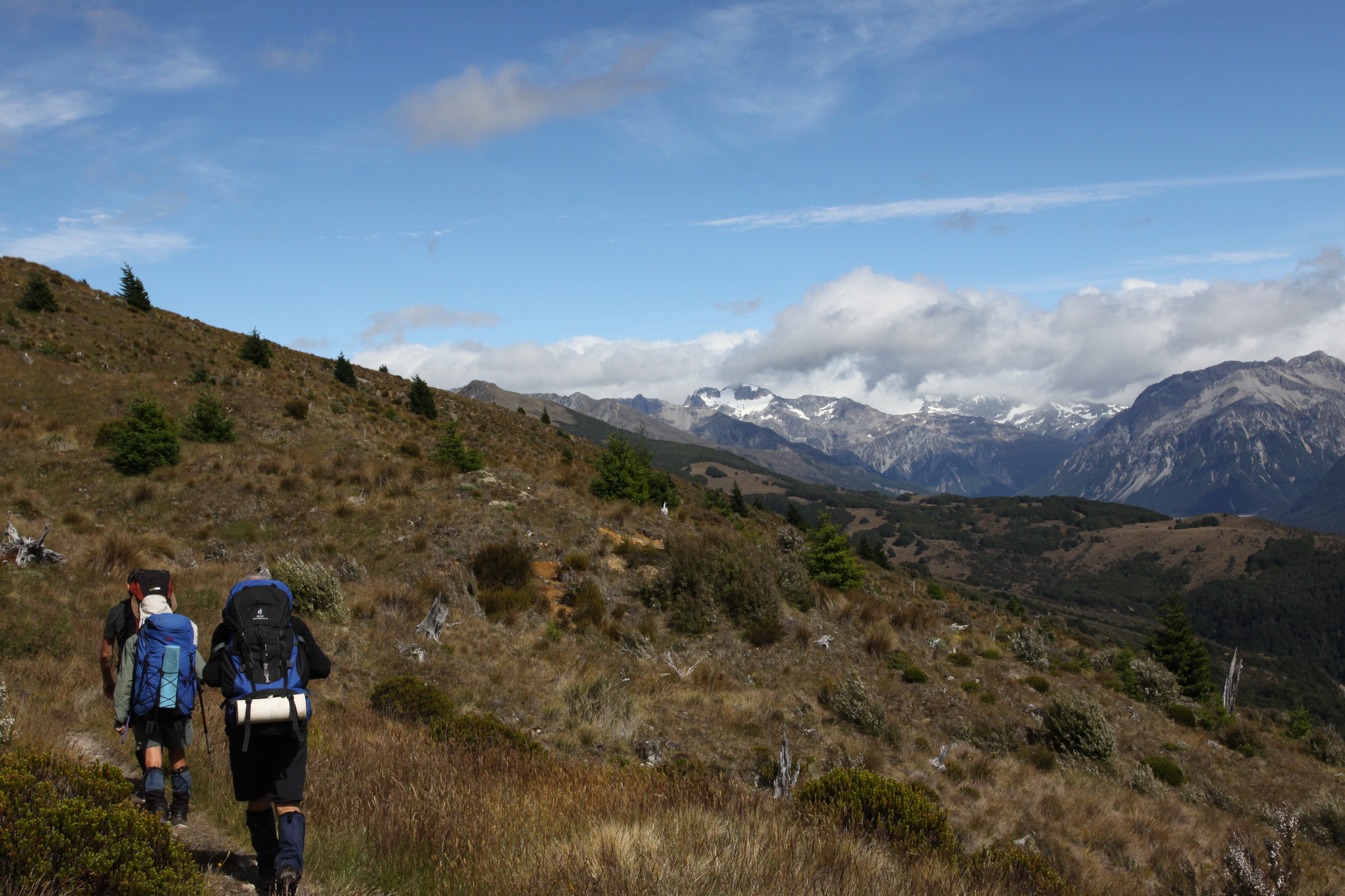 wandering through muddy tussock hills